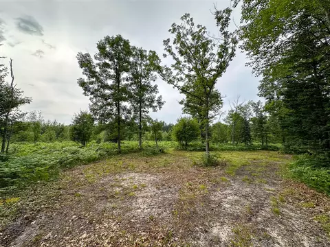 80 N Vl N Truesdale, Manton, MI 49663 photo 41