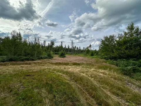 80 N Vl N Truesdale, Manton, MI 49663 photo 31