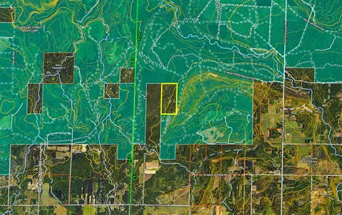 80 N Vl N Truesdale, Manton, MI 49663 photo 68