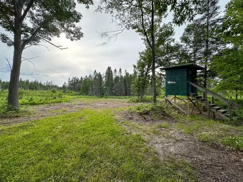 80 N Vl N Truesdale, Manton, MI 49663 photo 36