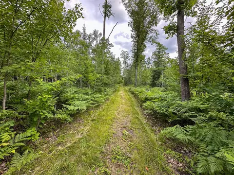 80 N Vl N Truesdale, Manton, MI 49663 photo 33