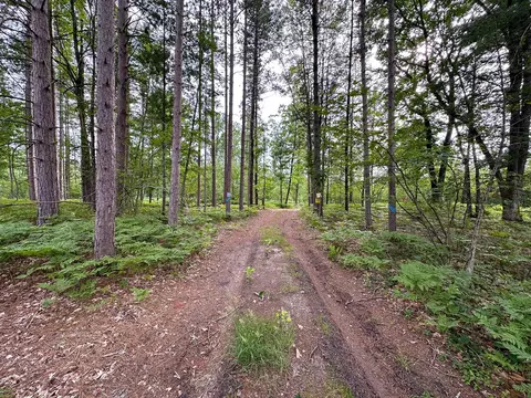 80 N Vl N Truesdale, Manton, MI 49663 photo 64