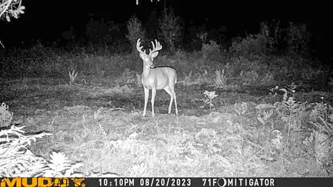 80 N Vl N Truesdale, Manton, MI 49663 photo 61