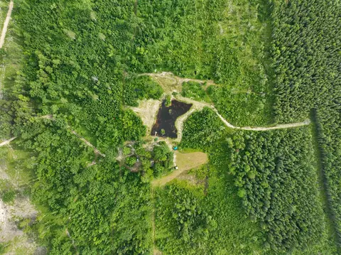 80 N Vl N Truesdale, Manton, MI 49663 photo 19