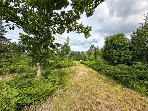 80 N Vl N Truesdale, Manton, MI 49663 photo 44