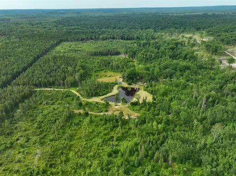 80 N Vl N Truesdale, Manton, MI 49663 photo 55