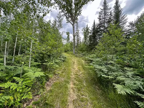 80 N Vl N Truesdale, Manton, MI 49663 photo 22