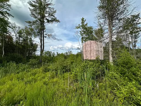80 N Vl N Truesdale, Manton, MI 49663 photo 48