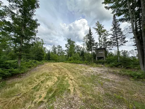 80 N Vl N Truesdale, Manton, MI 49663 photo 26