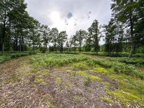 80 N Vl N Truesdale, Manton, MI 49663 photo 42