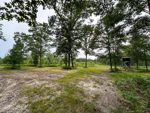 80 N Vl N Truesdale, Manton, MI 49663 photo 35