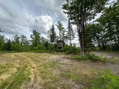 80 N Vl N Truesdale, Manton, MI 49663 photo 25