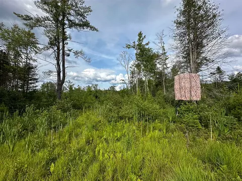 80 N Vl N Truesdale, Manton, MI 49663 photo 49