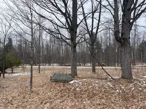 3690 NE 571, Kalkaska, MI 49646