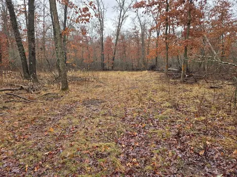 N Irons Road, Irons, MI 49644