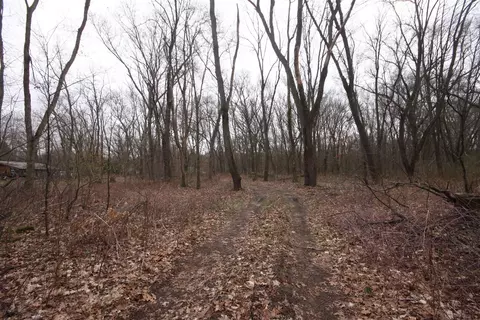 27750 60th, Mattawan, MI 49071 photo 5