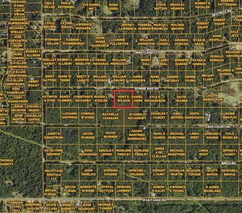 Vl Bonnie Mae Rd, Harrison, MI 48625 photo 21