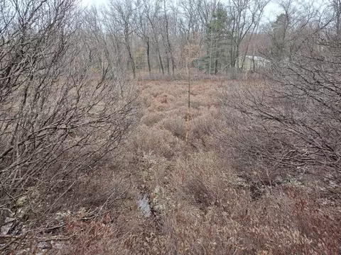 Vl Bonnie Mae Rd, Harrison, MI 48625 photo 11