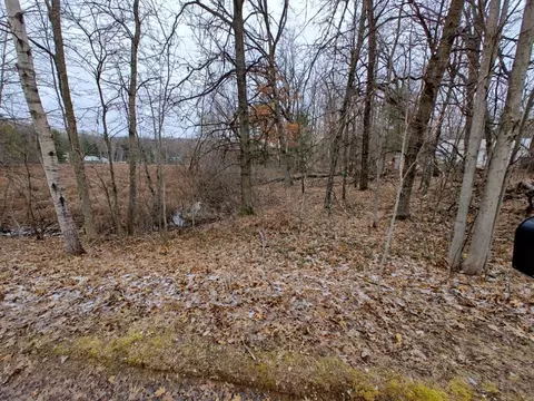 Vl Bonnie Mae Rd, Harrison, MI 48625 photo 2