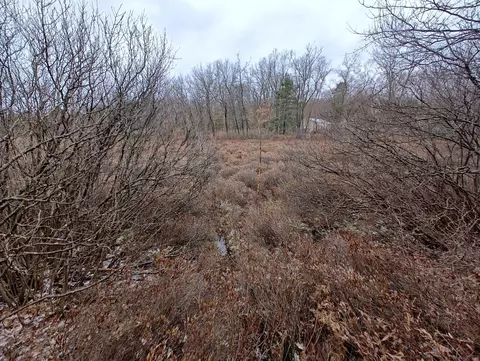 Vl Bonnie Mae Rd, Harrison, MI 48625 photo 10