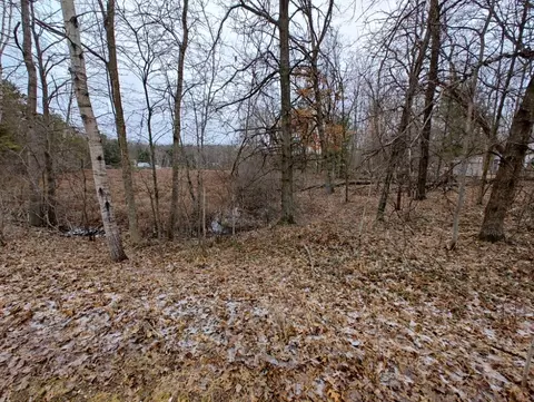 Vl Bonnie Mae Rd, Harrison, MI 48625 photo 3