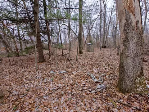Vl Bonnie Mae Rd, Harrison, MI 48625 photo 5