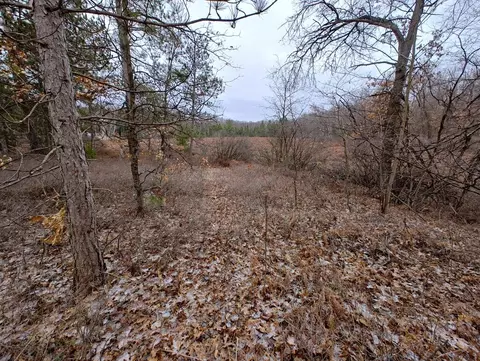 Vl Bonnie Mae Rd, Harrison, MI 48625 photo 9