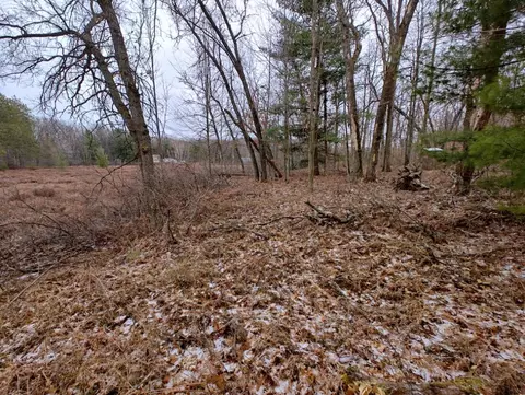 Vl Bonnie Mae Rd, Harrison, MI 48625 photo 4