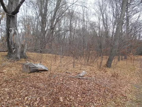 5761 E 80th, Newaygo, MI 49337 photo 23