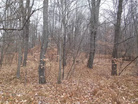 5761 E 80th, Newaygo, MI 49337 photo 34