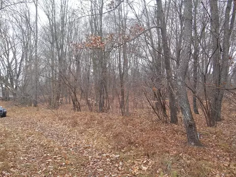 5761 E 80th, Newaygo, MI 49337 photo 25