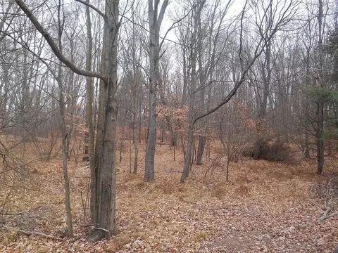 5761 E 80th, Newaygo, MI 49337 photo 33