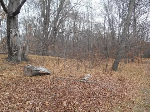 5761 E 80th, Newaygo, MI 49337 photo 39