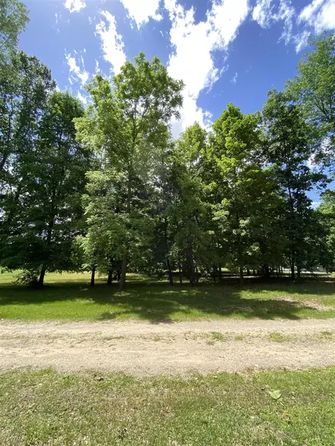 E State, Hanover, MI 49241 photo 11