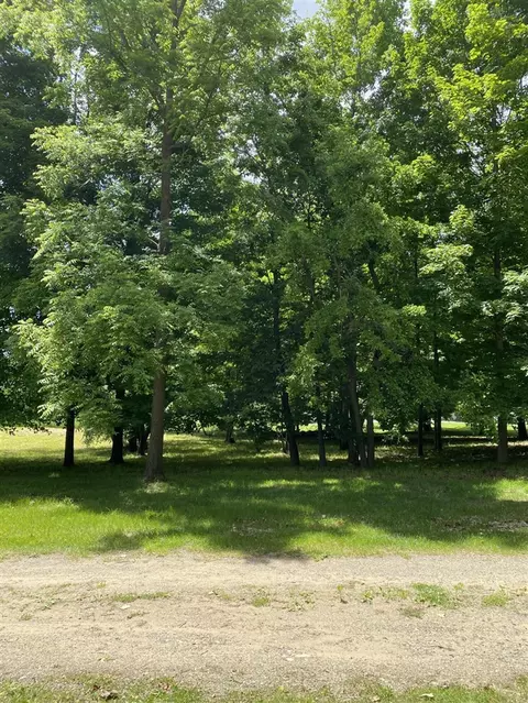 E State, Hanover, MI 49241 photo 10