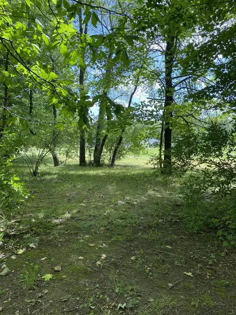 E State, Hanover, MI 49241 photo 6