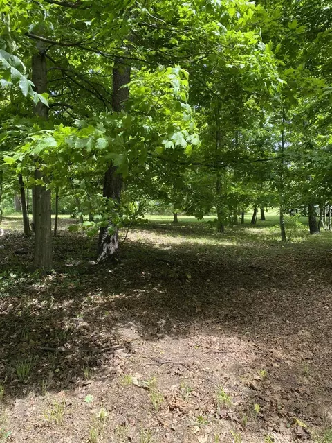 E State, Hanover, MI 49241 photo 5