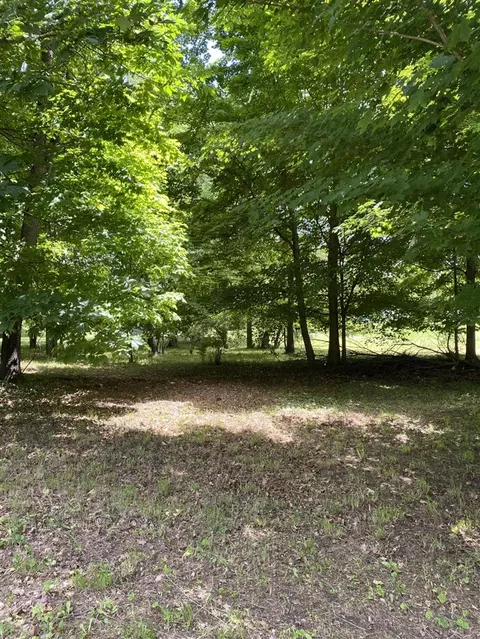 E State, Hanover, MI 49241 photo 12