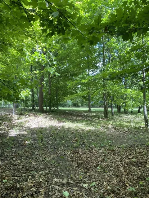 E State, Hanover, MI 49241 photo 7