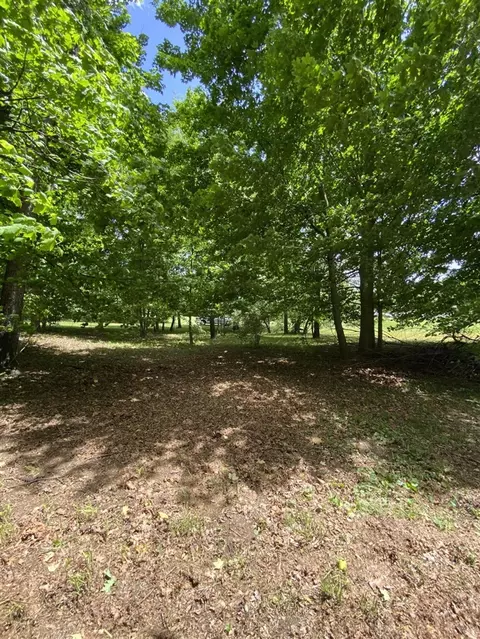 E State, Hanover, MI 49241 photo 8