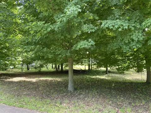 E State, Hanover, MI 49241 photo 14