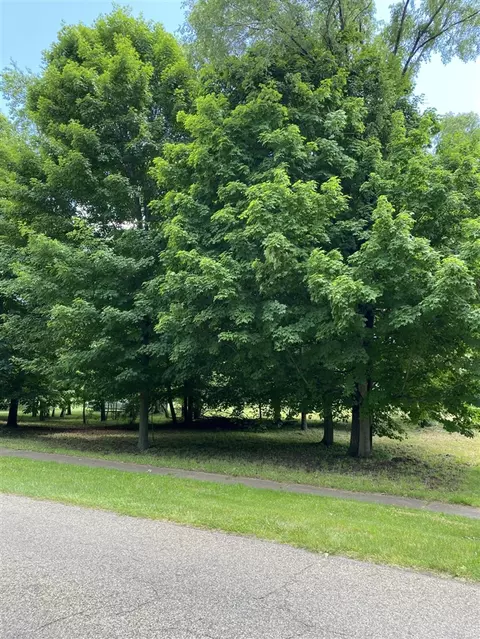 E State, Hanover, MI 49241 photo 15