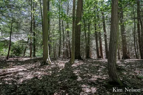 0 Oak Tree #LOT 20, Whitehall, MI 49461