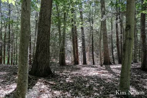 0 Oak Tree #LOT 20, Whitehall, MI 49461 photo 9