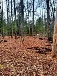0 Spruce, Roscommon, MI 48653 photo 13