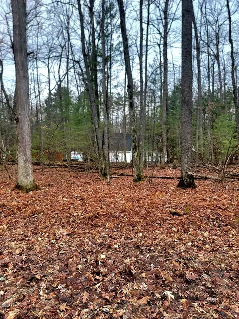 0 Spruce, Roscommon, MI 48653 photo 8
