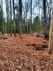 0 Spruce, Roscommon, MI 48653 photo 7