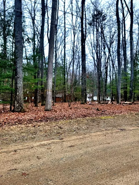 0 Spruce, Roscommon, MI 48653 photo 4