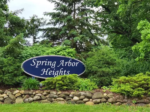 19 Ikram Oaks, Jackson, MI 49201 photo 1