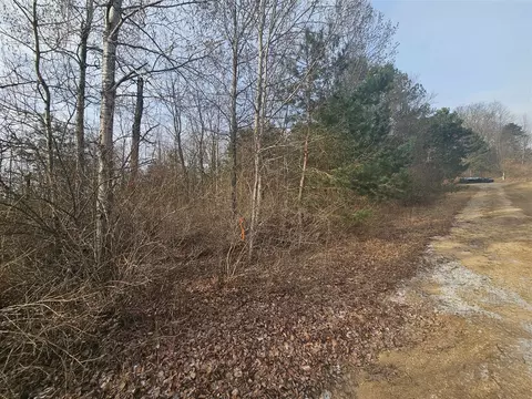 V/l 155th Ave, Hersey, MI 49639